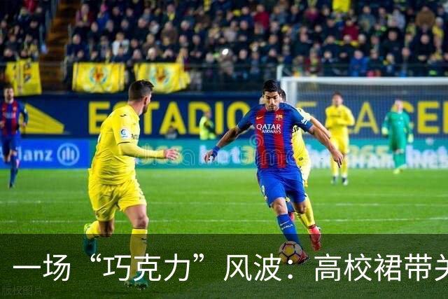 一场“巧克力”风波：高校裙带关系的真相大揭秘